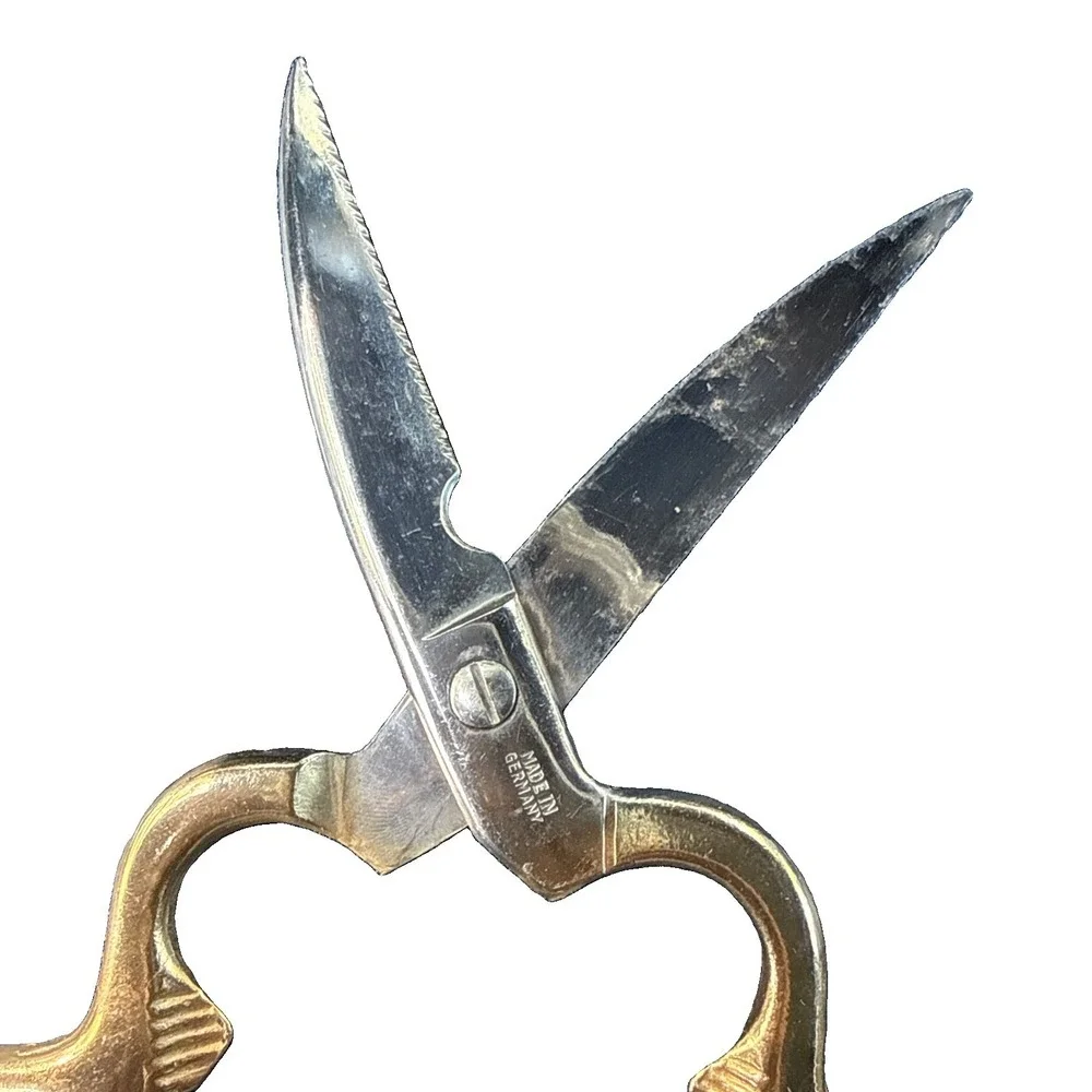Vtg German Poultry Shears Stainless Steel Kitchen Scissors Gold Handles Solingen